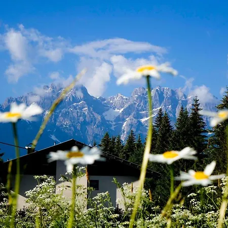 Haus Alpengluehn Appartement Iselsberg Buitenkant foto
