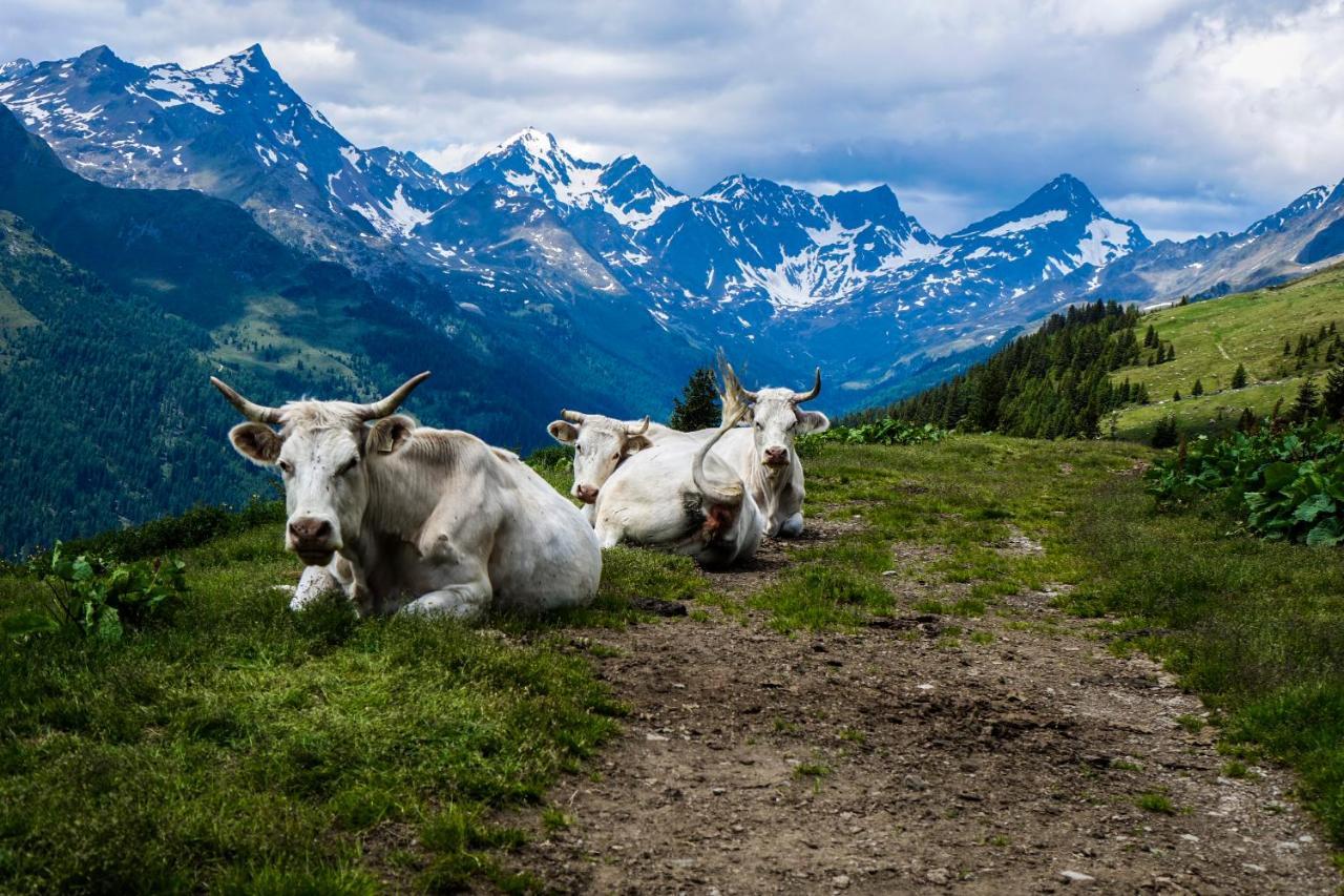 Haus Alpengluehn Apartmán *