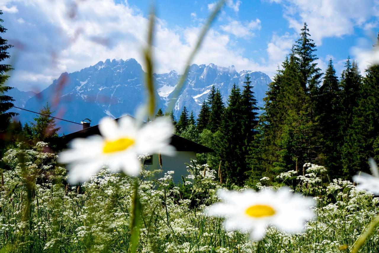 Appartement Haus Alpengluehn *
