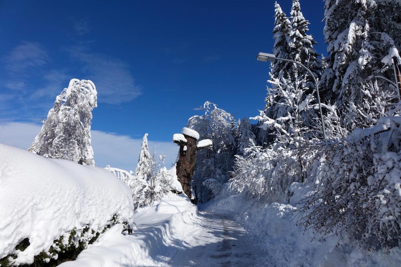 Haus Alpengluehn Appartement